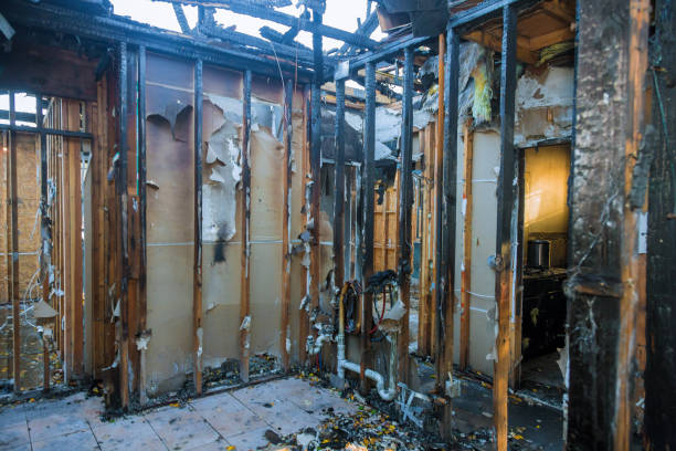 Professional Smoke Damage Removal technician working in Catonsville, MD